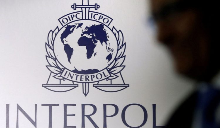 Interpol: Mbi 200 tonë lëndë narkotike të sekuestruara në Amerikën Latine