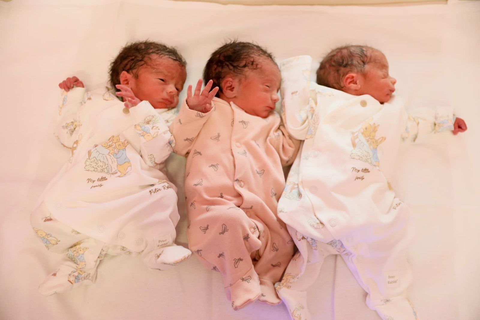 120 mijë lekë për secilin prej trinjakëve të lindur në “Mbretëresha Geraldinë”