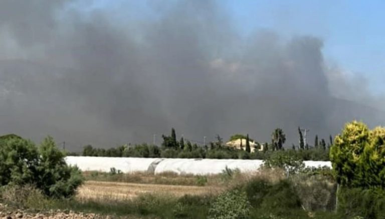  Rikthehen vatrat e zjarrit në Greqi, rrezikohen banesat në Selanik