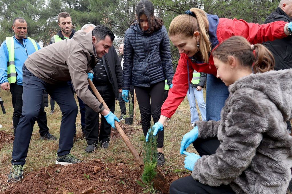 Mbillen 15 mijë fidanë në Elbasan, Kumbaro: Nisim planin e pyllëzimit e ndërgjegjësimit