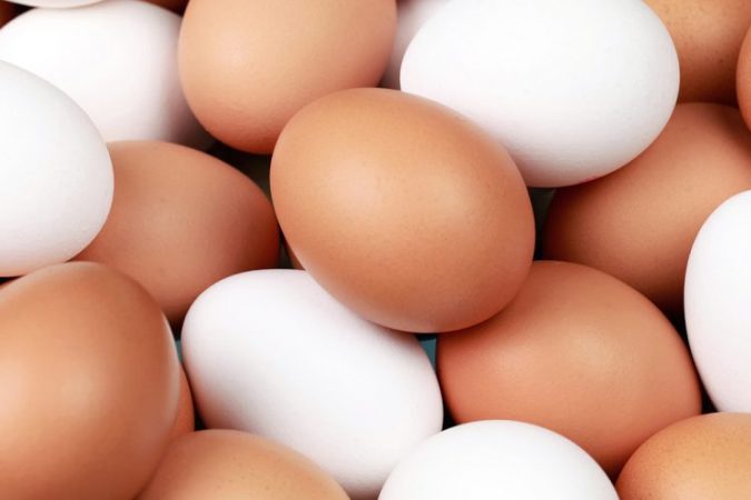 5-fishohen eksportet e vezëve për janar 2023 nga mungesa e prodhimit dhe çmimi i shtrenjtë në Europë