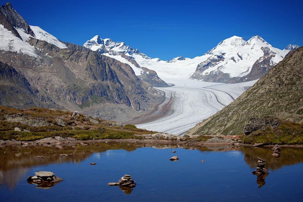 Akullnajat zvicerane do të përgjysmohen deri në 2050-n