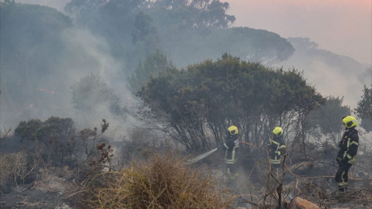 Portugali, qindra zjarrfikës në luftë me flakët pranë destinacionit të njohur turistik të Cascais