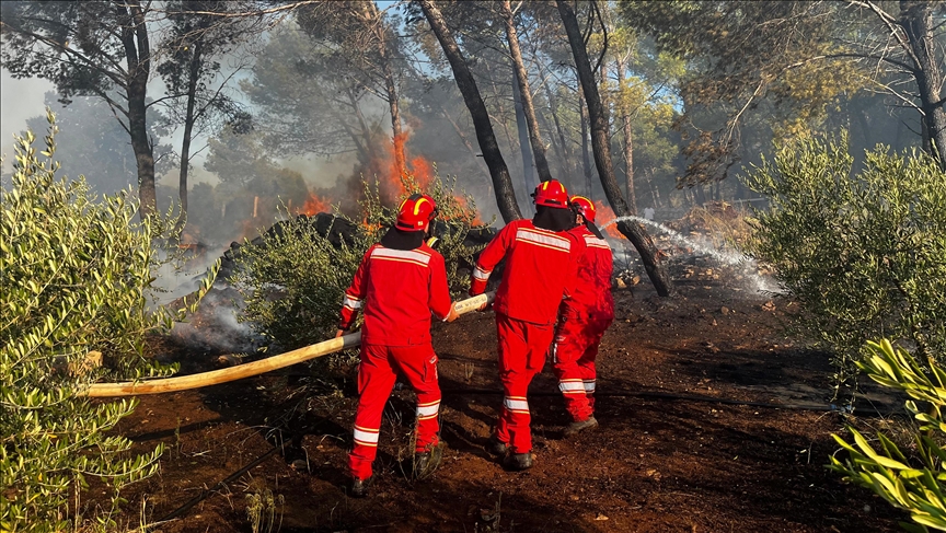 Shqipëri, vijojnë operacionet për shuarjen e zjarreve