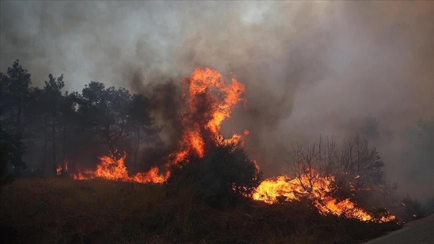 Greqi, zjarri përfshin një zonë pyjore në Gadishullin e Peloponezit