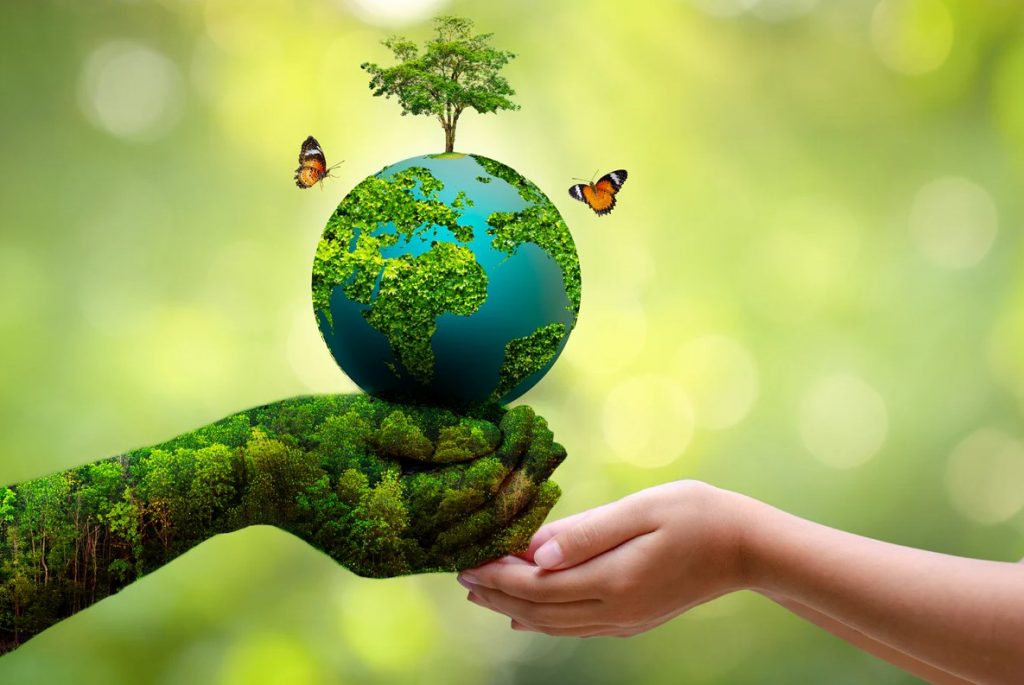 Dita Botërore e Mjedisit, OKB: Natyra, në gjendje emergjence