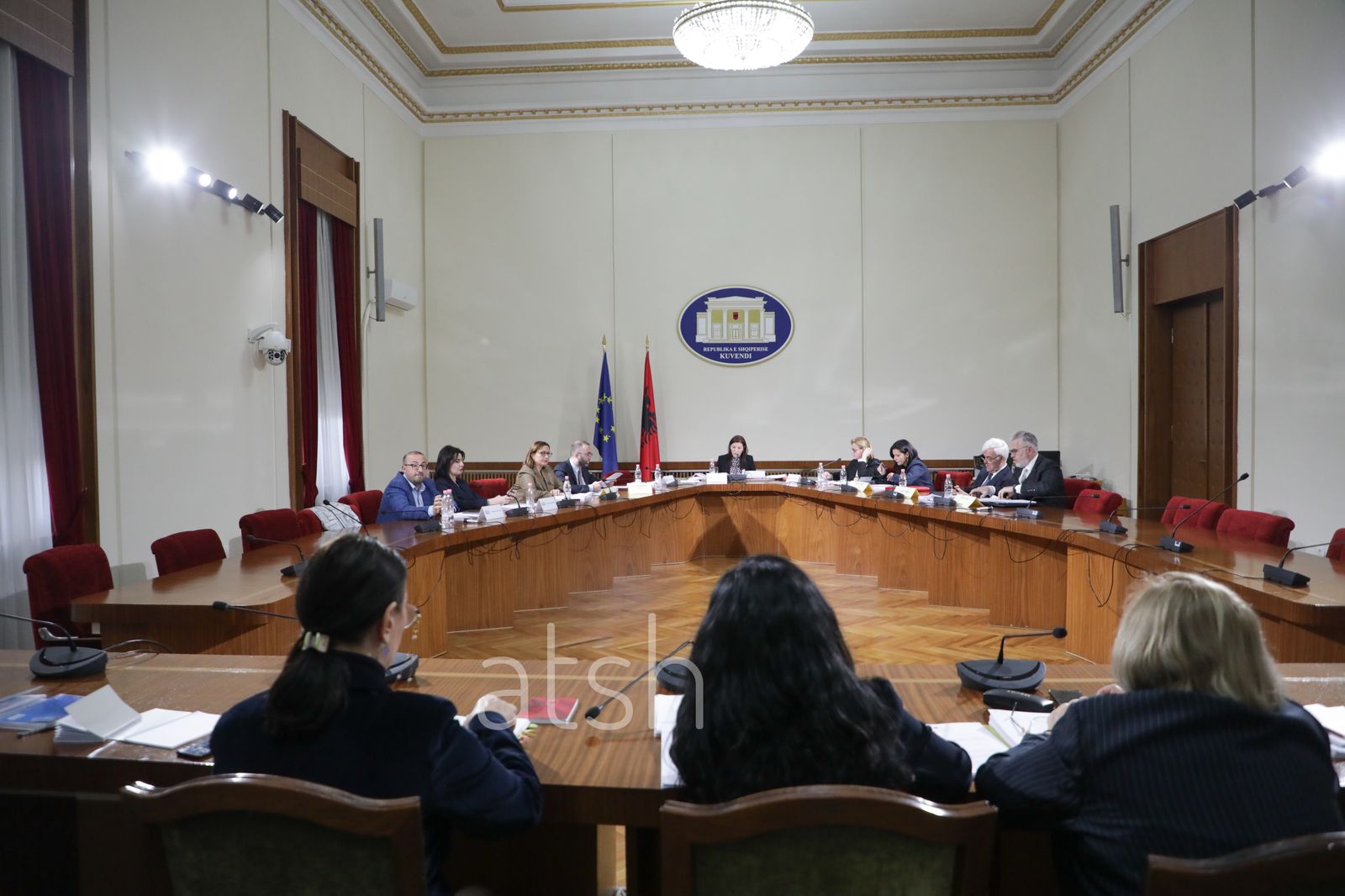 Këshilli i Legjislacionit cakton relatorët për vendimet e Gjykatës Kushtetuese