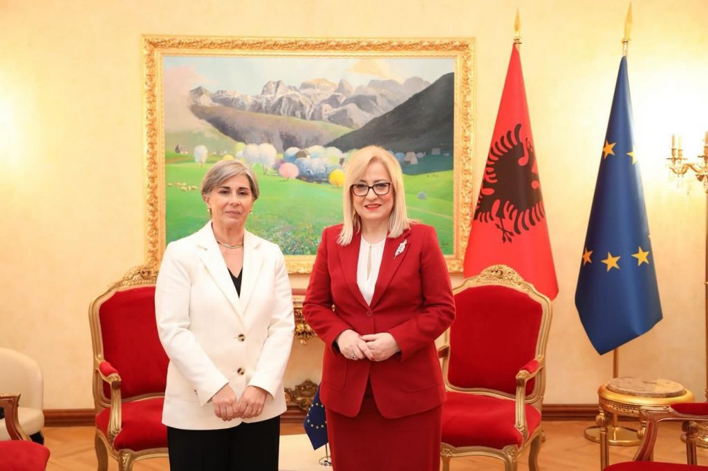 Nikolla takon raportuesen për Shqipërinë në PE: Dialogu i qëndrueshëm mbështet reformat dhe përshpejton integrimin europian