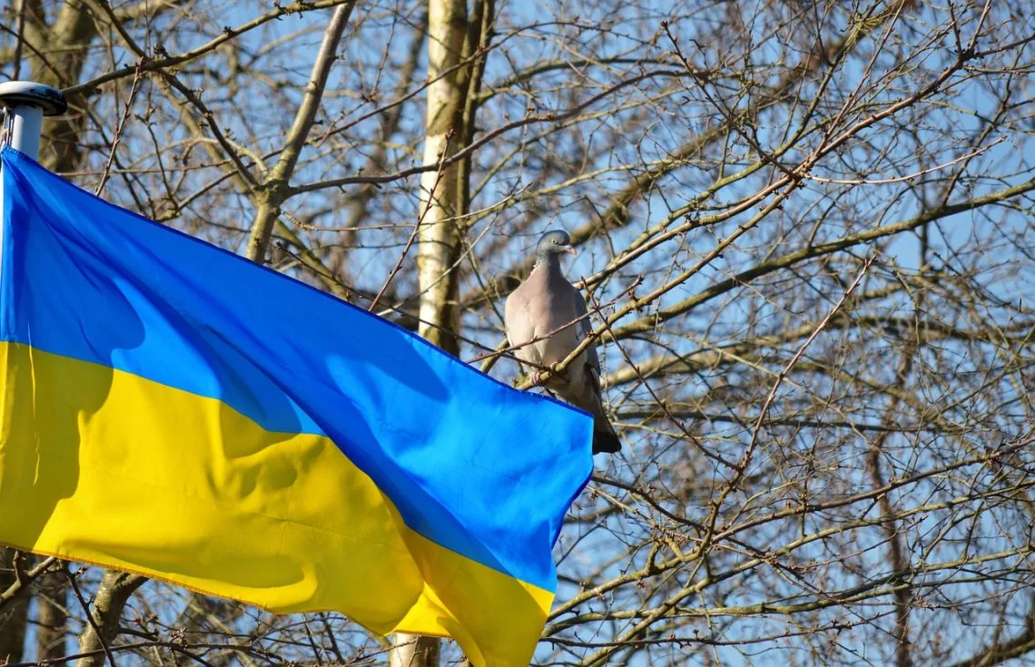 Përcaktimi i suksesit në Ukrainë